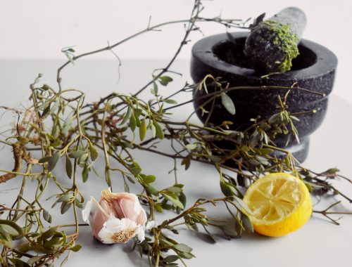 sea purslane pesto foraging wild food Sesuvium portulacastrum