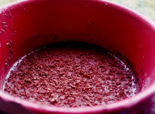 geum urbanum wood avens hot cocoa chocolate wild food foraging cozy cloves clove