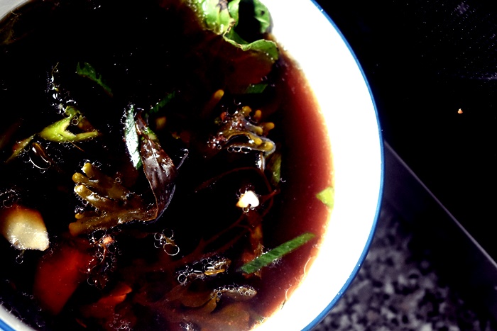 wild radish raphanum raphanistrum sea beet betula vulgaris maritima bladder wrack fucus vesiculosus asian soup miso forage foraging wild food