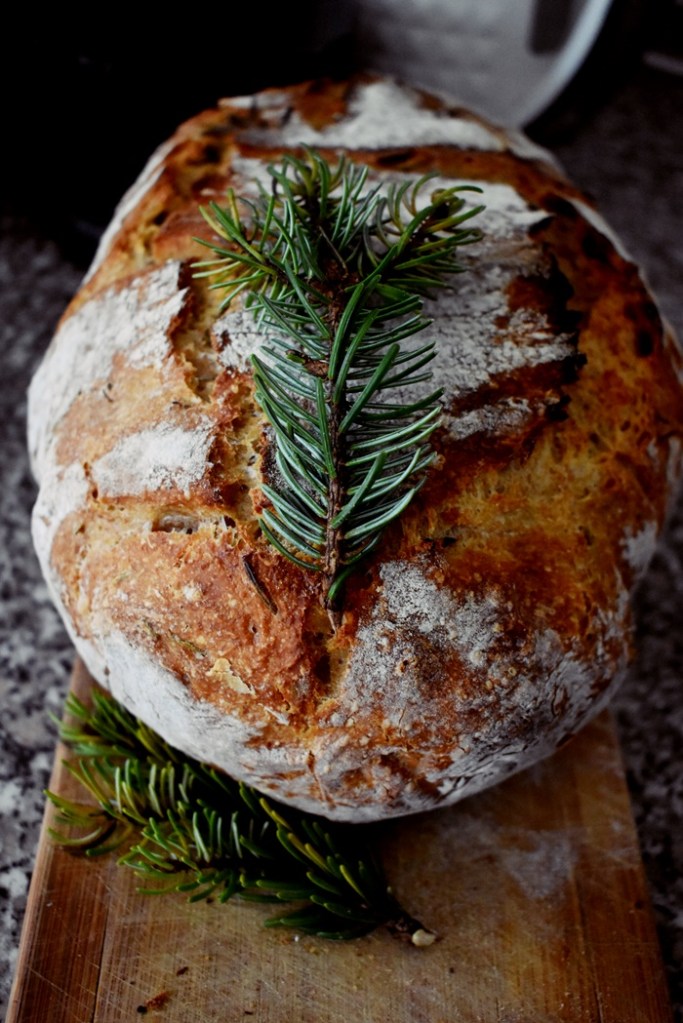 spruce sourdough picea starter bread baking foraging forest forage winter fermentation
