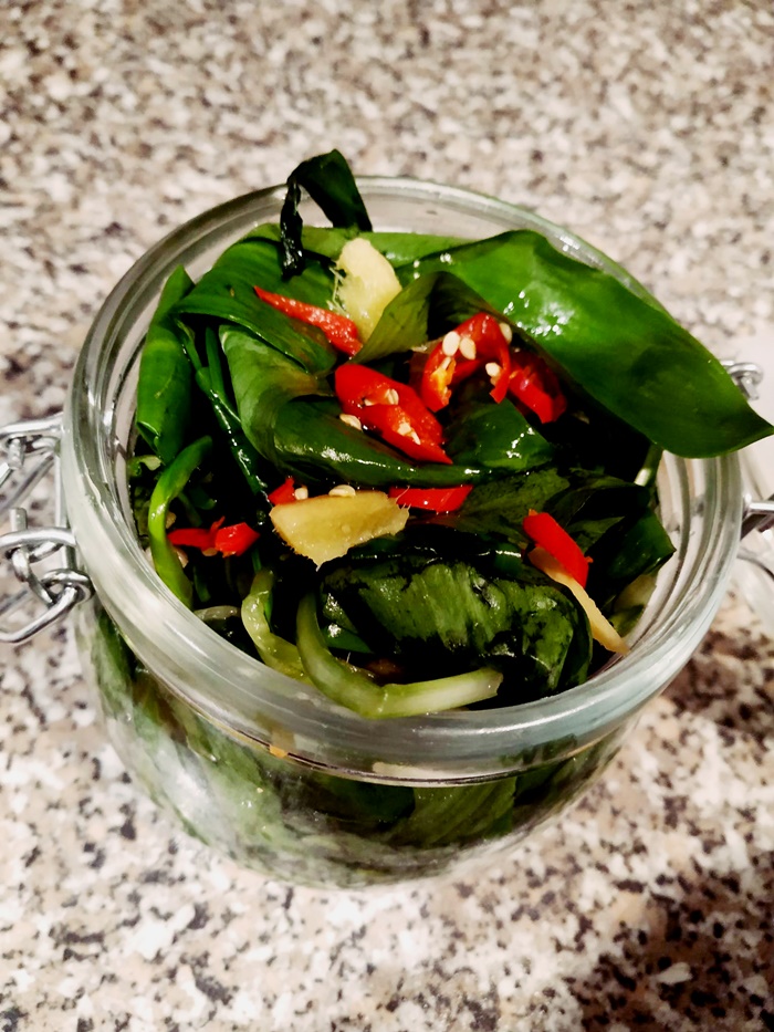 lactoferented fermented fermentation wild garlic allium ursinu chilli ginger jar