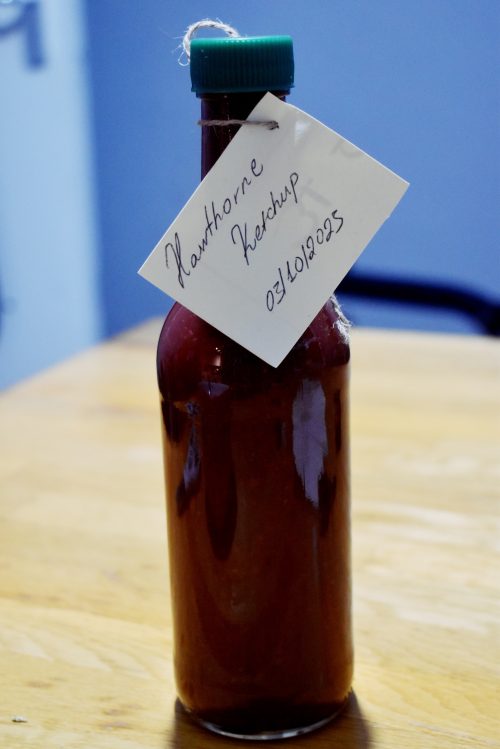 Hawthorn ketchup in October